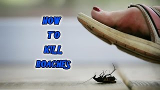 Joyscreen cockroach simulator: how to kill cockroaches properly