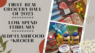 ALDI/FLASHFOOD/KROGER GROCERY HAUL/CLEARANCE MEAT