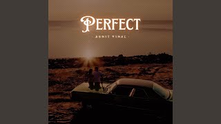 Perfect - Sumit Vimal