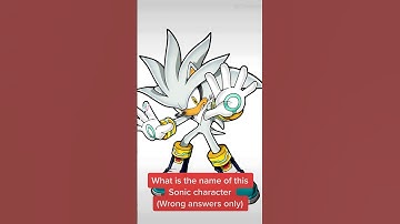What is the name of this Sonic character (Wrong answers only) 🤨 #shorts