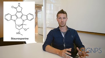GNPS - MASST - Box8 Natural Product Analogs Example