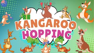 Kangaroo Hopping Natures Most Efficient Traveler