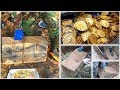 TREASURE IN OLD WOODEN CHEST! FOUND RARE GOLD AND DIAMONDS! HOW TO EARN BY GOLD AND DIAMONDS!