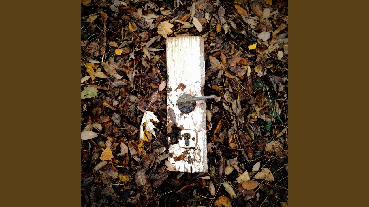 Noćni tramvaj u svemiru