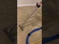 Scrub Squad is Maryland's #1 Family-Owned Carpet Cleaning and House cleaning company! 🏠👍