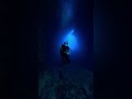 The Deep Sea Hive Mind That Traps 30 Consciousnesses
