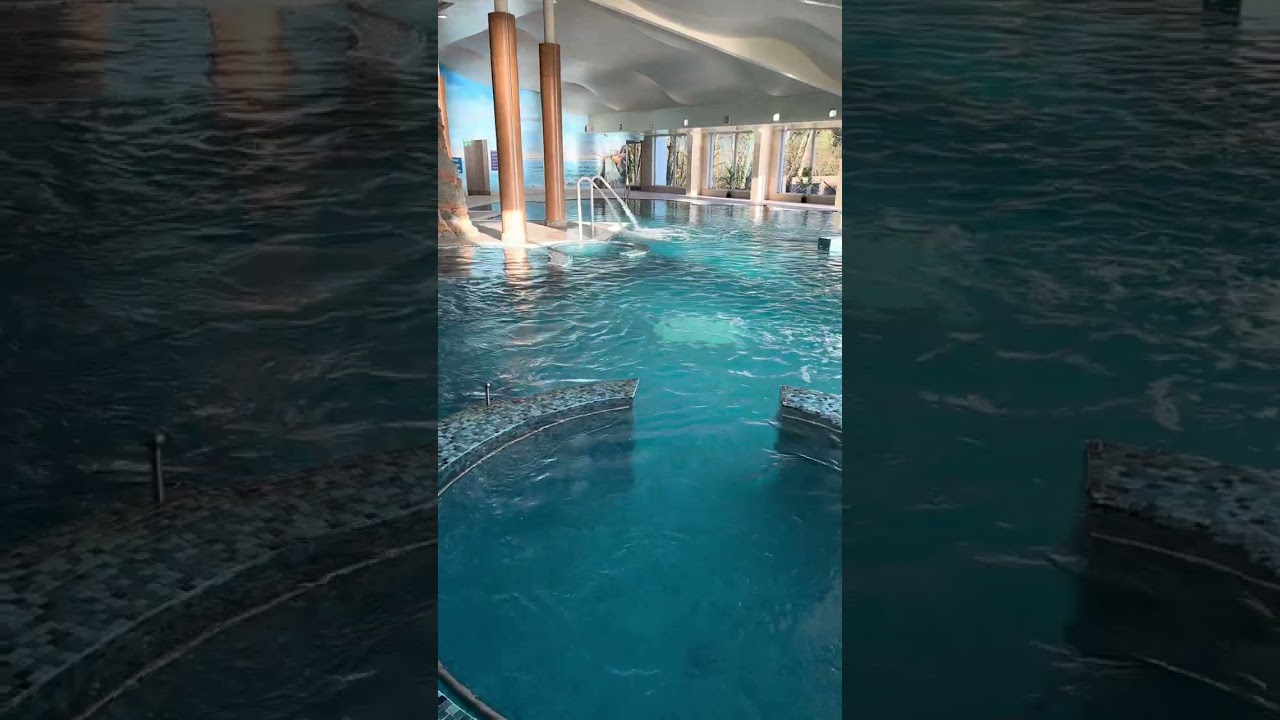 Dive In at Redcastle Hotel