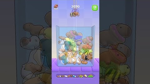 Capybara puzzle livestreaming player adeshsainieditor, puzzle live