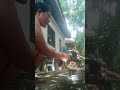 Katay ng Manok na ni request ng mga kaibigan natin sa Youtube