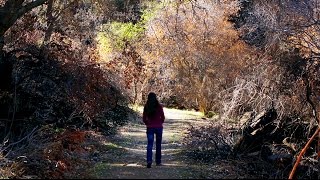 Making Science Out of Fire at Stebbins Cold Canyon Natural Reserve