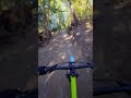 Slow Cruise Markham Park MTB mp3