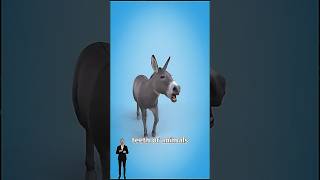 Celebrity Why George Washington Never Smiled 🤔 Wealth