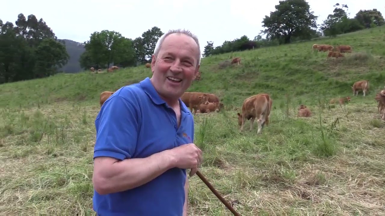 Ganaderos en su habitat | limusinas en puente viesgo | 12.8.2022