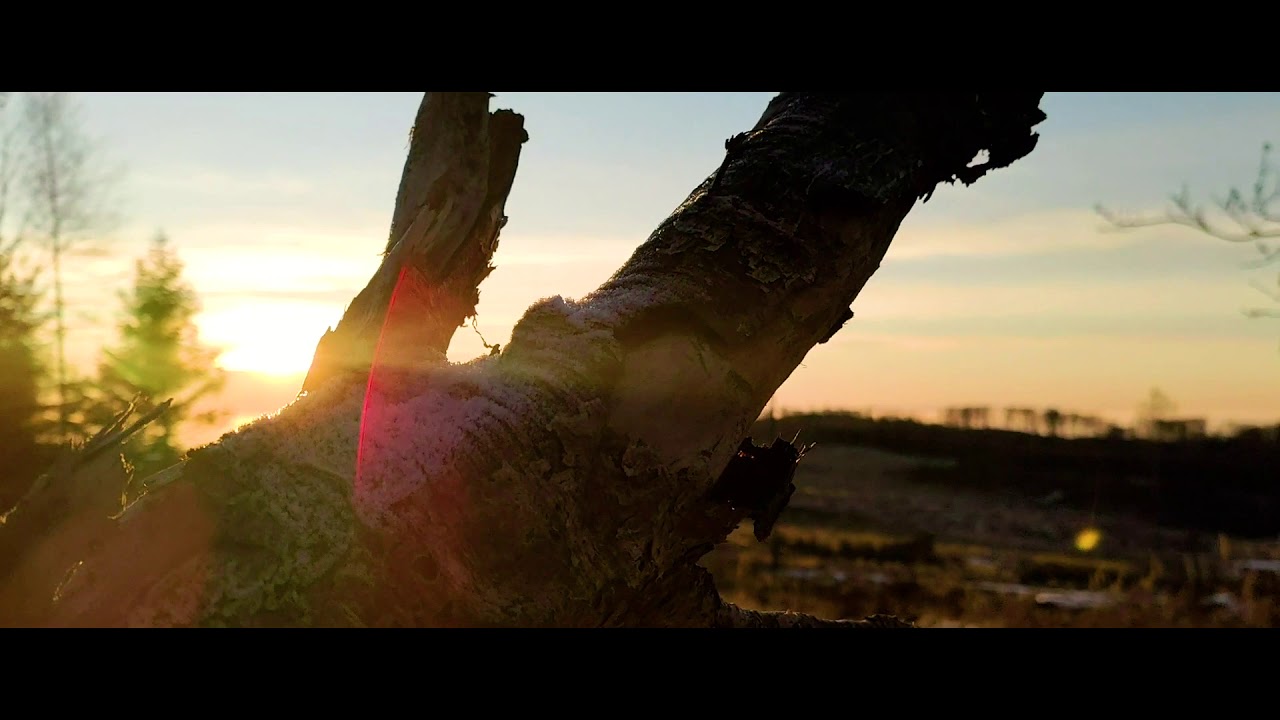 Winter nature - cinematic