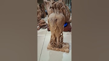 Hoàn thien tp sam ngọc am thơm ngát #ngocamhagiang #sâm