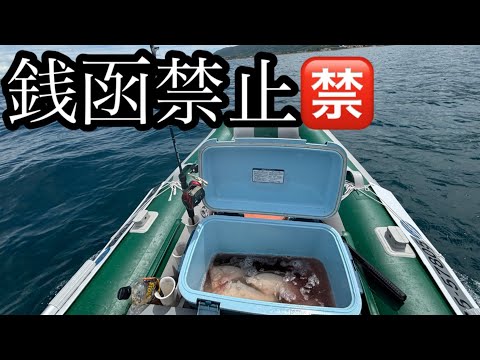 銭函禁止！銭函カレイ釣りは裏切らない⑪