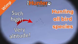 All The Birbs | theHunter Classic