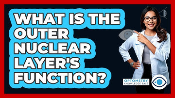 What Is The Outer Nuclear Layer