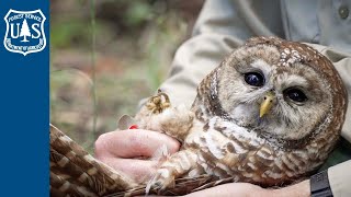 Cooperating For The Win, Win -- Reducing Fuels and Saving Wildlife