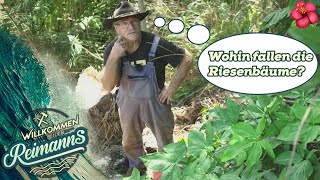 Vertrauen kann tödlich sein! 😱 Wohin fallen die RIESENBÄUME? | Willkommen bei den Reimanns