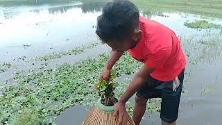 polo fishing video || net fishing video 2024 || amazing fishing video || village fishing video -33