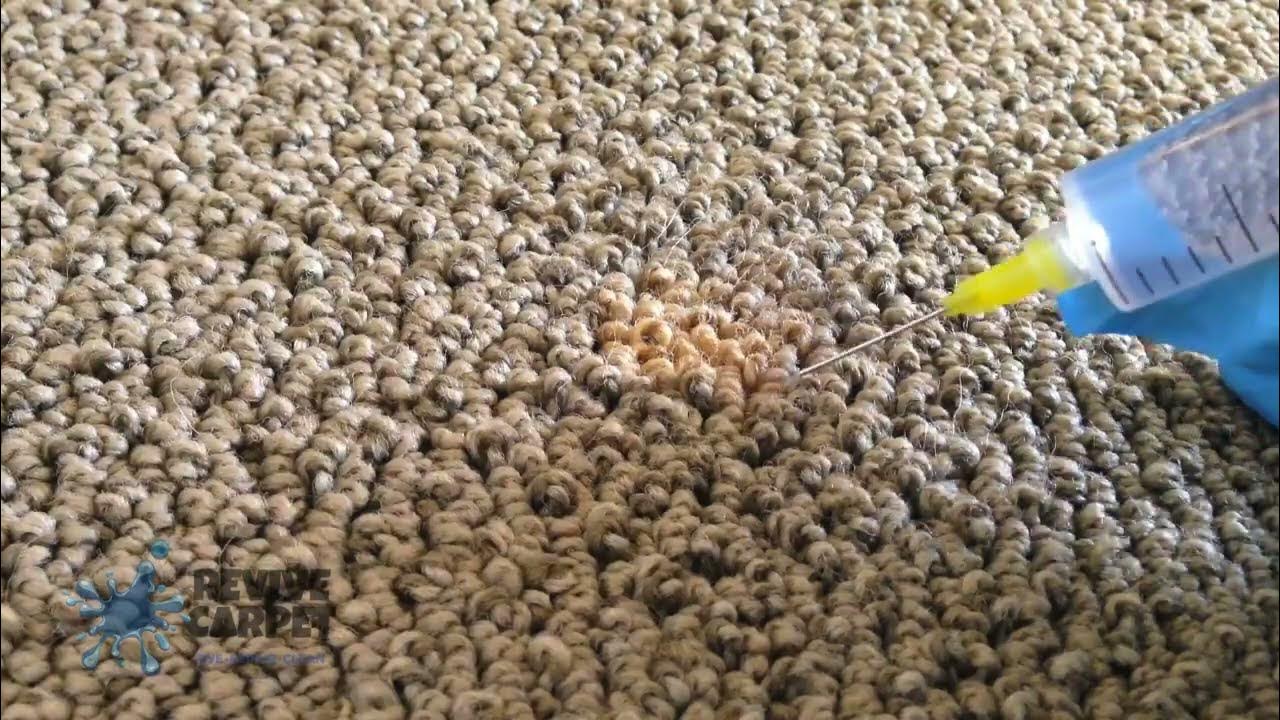 How To Get Bleach Stains From Carpet & Get Your Carpet Color Restored YouTube