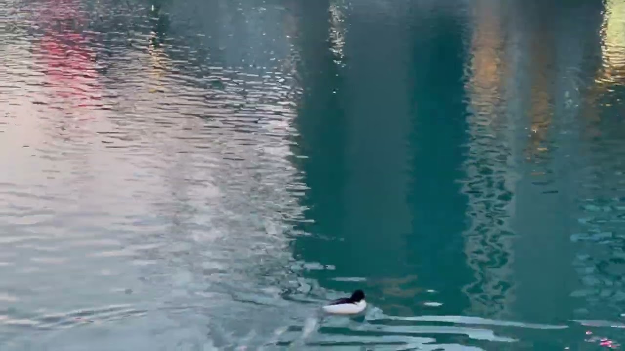 Early morning along Rhône River, Switzerland