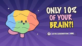 Information The 10% Brain Myth: What Scientists Actually See Update