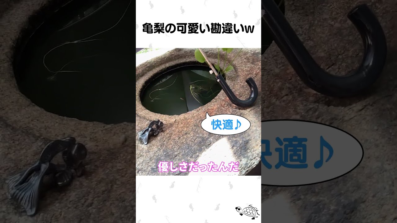 亀梨の可愛い勘違いw