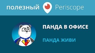 Download lagu Матвей Северянин Где я работаю сейчас и чем занимаюсь Офис для YouTube плюсы и минусы Матвей Северянин Где я работаю сейчас и чем занимаюсь Офис для YouTube плюсы и минусы