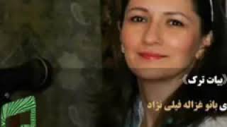 بیات ترک بانو غزاله فیلی نژاد. چشمیست خون افشان ز دست آن کمان ابرو.