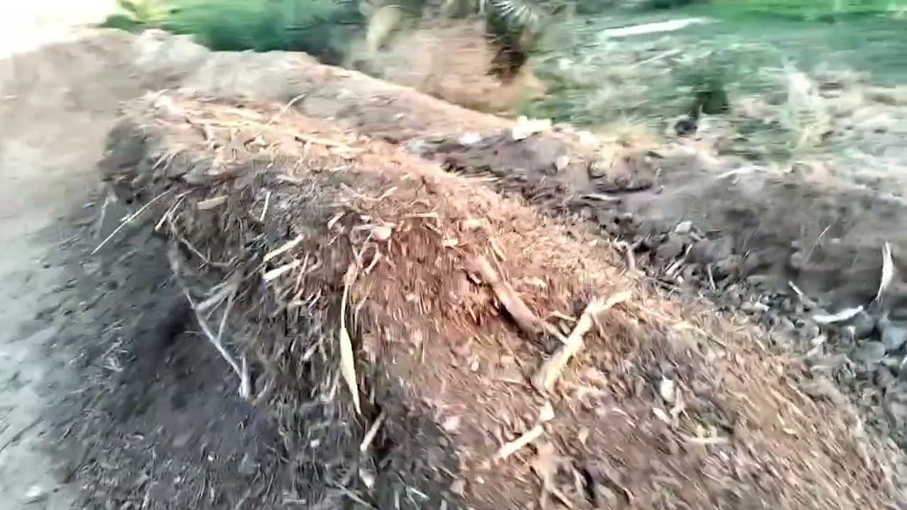 15 فدان قريه الحاره بسعر مناسب للجميع للتواصل فون واتس 01210412980