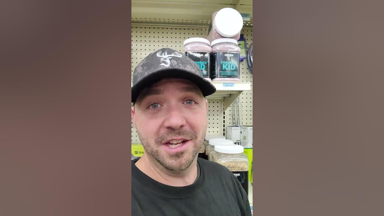 Domain Food Plot Seeds Have You Ever Used This foodplot domain-food-plot-seeds-have-you-ever-used-this-foodplot