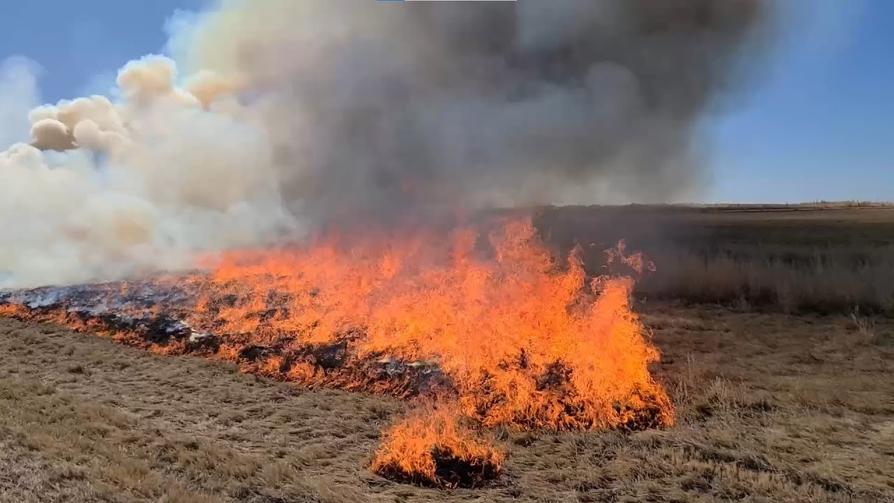 Burn Baby Burn [Lighting tumbleweeds on fire] YouTube