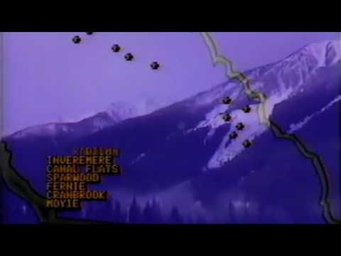 Luxury Elite - Oceania
