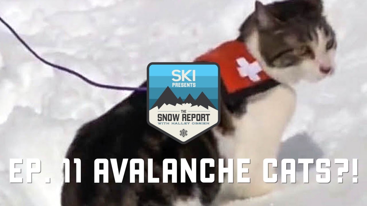 The Snow Report Episode 11: Avalanche Cats at Copper