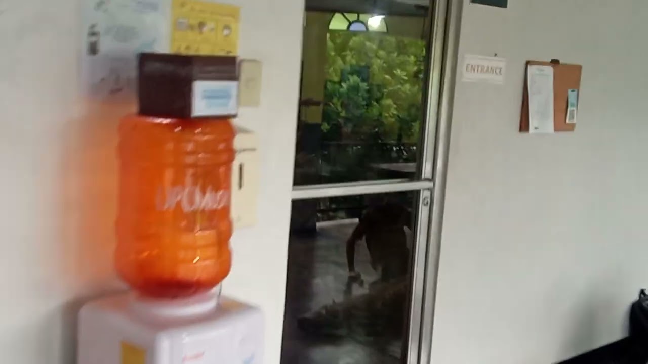 U.P. College of Music finals month soundscapes