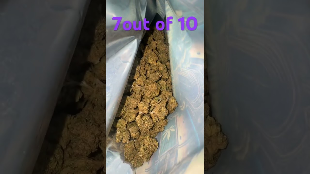 THCA KING  GG4 !! 1/2 1b for 160  