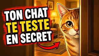 5 Secret Tests Your Cat Only Does On Their Favorite Person