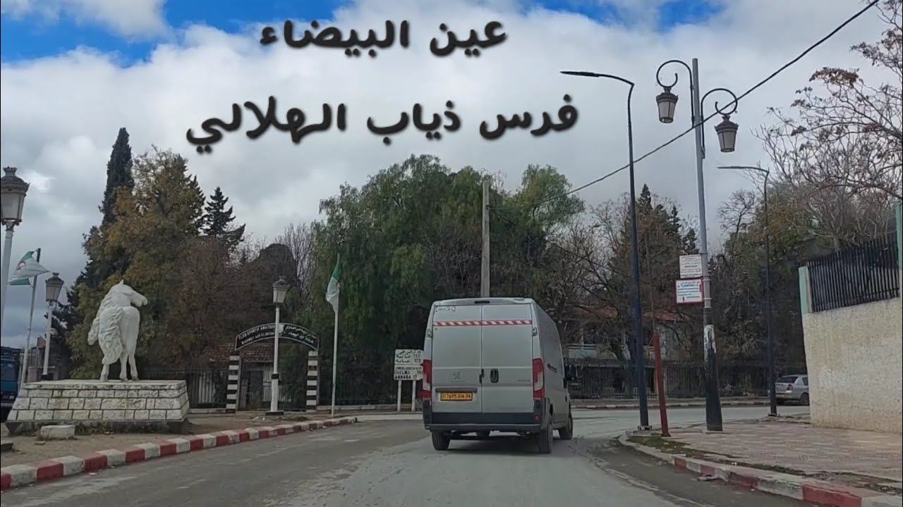 @jaouadilotfi  .. #عين_البيضاء  .. #أم_البواقي  ... #الجزائر  .. #فرس_ذياب_الهلالي ..  #الثلوج ..