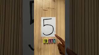 Primary 1 Maths Assessment: Matching Numbers and Objects Using Simple Materials.