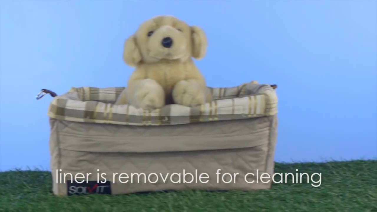 Pet Product TV with Pet Experts Sandy Robins & Robert Semrow