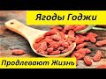 Ягоды Годжи Продлевают Жизнь