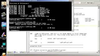 CIT2553 Lab 3 Foremost Usage