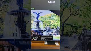 LG G Serisi OLED serisine denk ürün Samsung&#39;da hangisi? #shorts