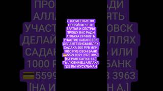 где вы любимцы аллаха #аллах #юмор #аллоху #знания #мистика #книгасудей