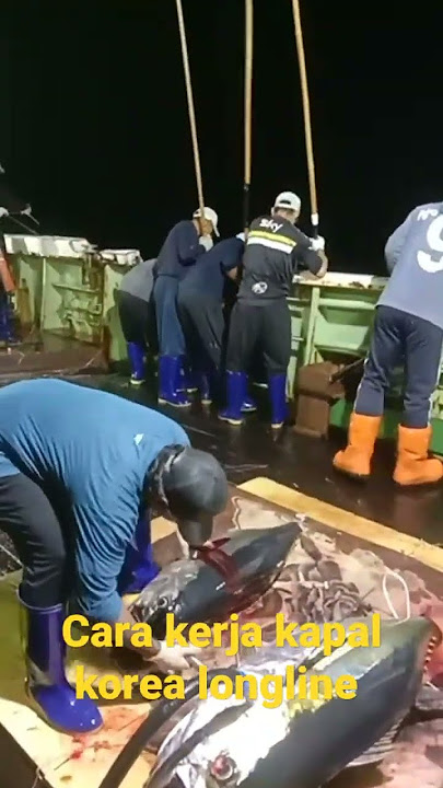 inilah proses kerja kapal longline korea