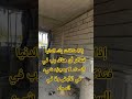 اذا ضاقت بك الدنيا Ecotravel Foryou Forestbathing دعاء مستجاب دعاء Trending اكسبلور Explore اذا ضاقت بك الدنيا Ecotravel Foryou Forestbathing دعاء مستجاب دعاء Trending اكسبلور Explore
