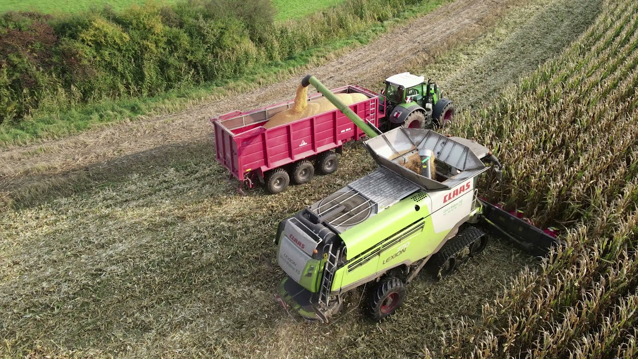 Уборочная машина CLAAS LEXION 770TT (12-рядная) для уборки зерновой кукурузы / Ulrich Widmer KG /...