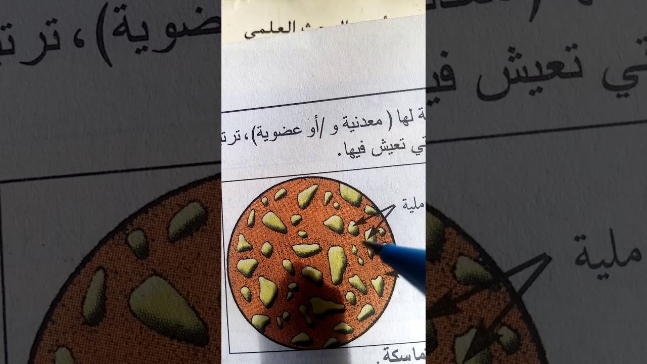 T. commun. La structure du sol